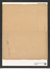 Arachnodiscus grevilleanus Hardm. (de-Toni-Nr.: Genus 204, Species 5212) Zeichnungen Sammlung Grunow (NHMW-BOT-W0378701)